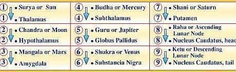 *** Джйотиш-Грахи и их соответствие физиологии головы - таблица jyotish-and-cosmic *** *** Джйотиш-Грахи и их соответствие физиологии головы - таблица jyotish-and-cosmic ***