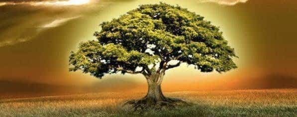 *** Знания Тантра-Джйотиша – Сила Сознания/Осознанности, Разум, Знания, Мудрость, Разумность ***